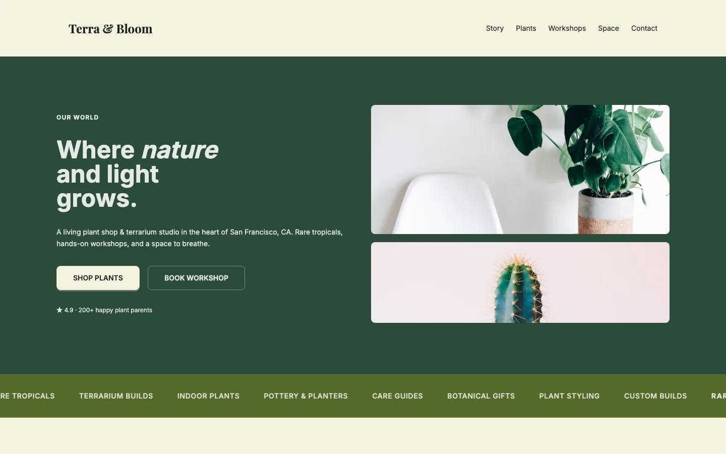 Wellness & lifestyle brand